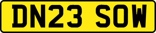 DN23SOW