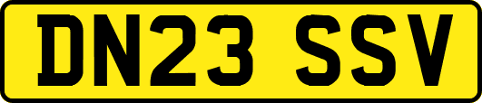 DN23SSV