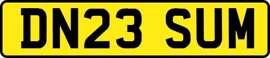DN23SUM