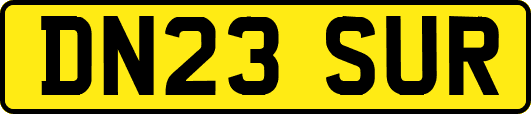DN23SUR