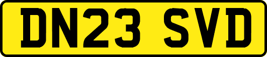 DN23SVD