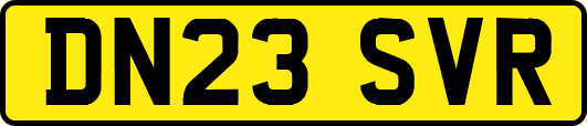 DN23SVR