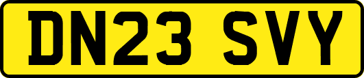 DN23SVY