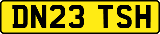 DN23TSH