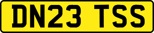 DN23TSS