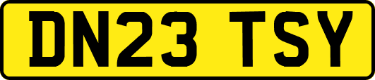 DN23TSY