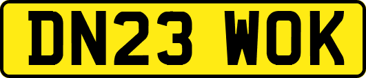 DN23WOK