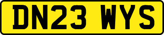 DN23WYS