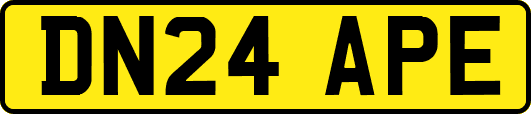 DN24APE