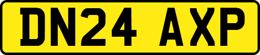 DN24AXP