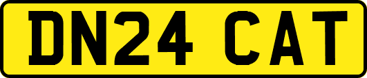 DN24CAT