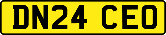 DN24CEO