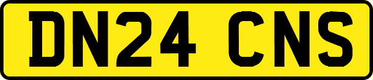 DN24CNS