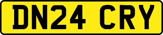 DN24CRY