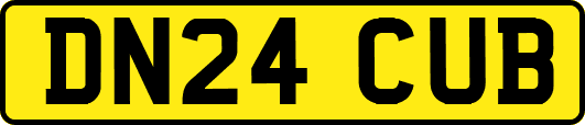 DN24CUB