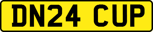 DN24CUP
