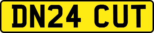 DN24CUT