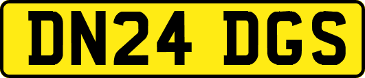 DN24DGS