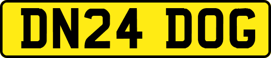 DN24DOG
