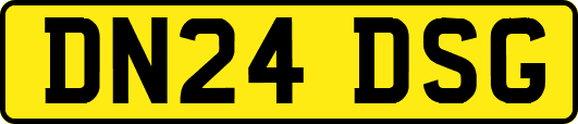 DN24DSG