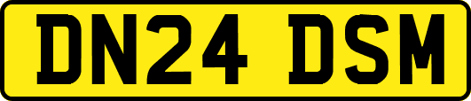 DN24DSM