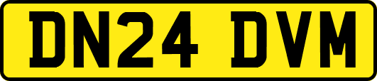 DN24DVM
