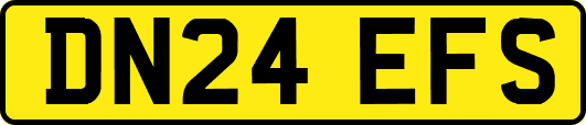 DN24EFS