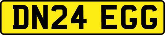 DN24EGG