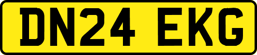 DN24EKG