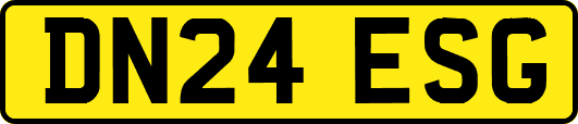 DN24ESG