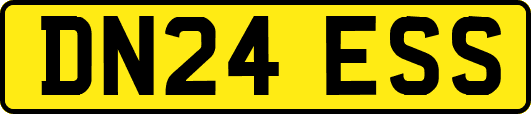 DN24ESS
