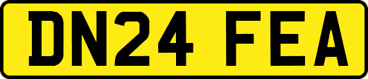 DN24FEA