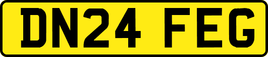 DN24FEG