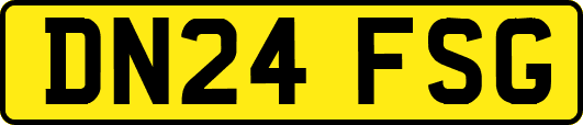DN24FSG