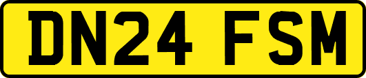 DN24FSM