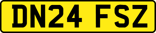 DN24FSZ