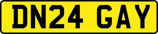 DN24GAY
