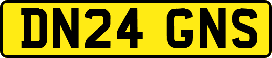 DN24GNS