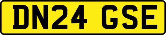 DN24GSE