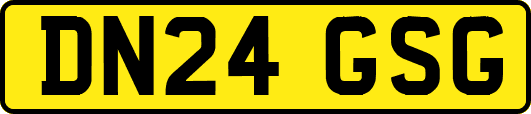 DN24GSG