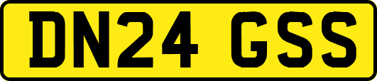 DN24GSS