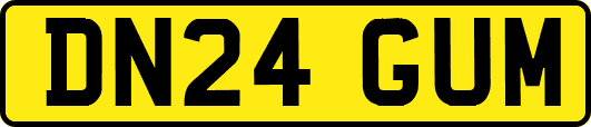 DN24GUM