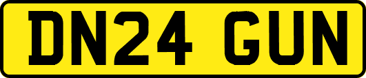 DN24GUN