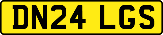 DN24LGS