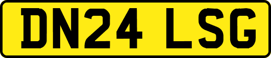DN24LSG