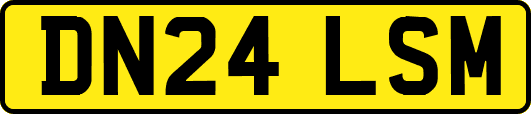 DN24LSM