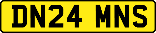 DN24MNS
