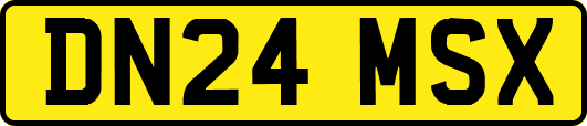 DN24MSX