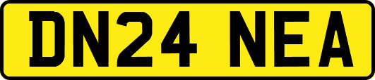 DN24NEA