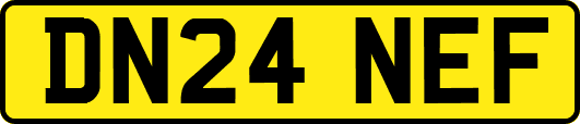 DN24NEF